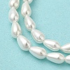Electroplate Shell Pearl Beads Strands BSHE-G010-4x6mm-01-4