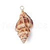 Natural Spiral Shell Pendants PALLOY-JF02950-3