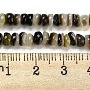 Natural Black Lip Shell Beads Strands BSHE-Z005-06-4