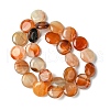 Flat Round Gemstone Natural Red Agate Stone Beads Strands G-S110-03-4