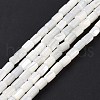 Natural Trochus Shell Beads Strands SSHEL-H070-01G-3