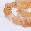 Raw Rough Natural Citrine Bead Strands G-F403-09-3