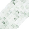 Natural Quartz Beads Strands G-P575-A06-8x5mm-2