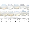 Opalite Beads Strands G-P559-B06-01-5