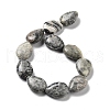 Natural Map Stone/Polychrome Jasper/Picasso Stone/Picasso Jasper Beads Strands G-P528-L11-01-3