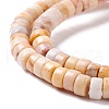 Natural Howlite Beads Strands G-I318-05-3