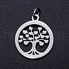 304 Stainless Steel Pendants STAS-T046-JA350-1A-P-1