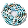 Natural Howlite Beads Strands G-H025-03B-05-3