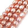 Natural Cultured Freshwater Pearl Beads Strands PEAR-P062-28C-2