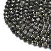 Natural Larvikite Beads Strands G-P573-A54-01-3