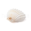 Summer Beach Natural Shell Pendants PALLOY-JF02648-5