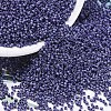 MIYUKI Delica Beads SEED-X0054-DB0377-1