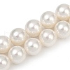 AB Color Plated Shell Pearl Round Beads Strands BSHE-XCP0001-50-2