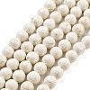 Natural Fossil Beads Strands G-H026-02A-1