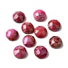 Dyed Natural Regalite/Imperial Jasper/Sea Sediment Jasper Cabochons G-L617-C02-10mm-1