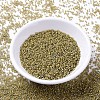 MIYUKI Delica Beads SEED-J020-DB2046-2