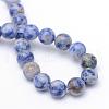 Round Dyed Natural Blue Spot Jasper Bead Strands G-R345-10mm-14-3