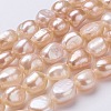 Natural Cultured Freshwater Pearl Beads Strands PEAR-P002-47-01-1