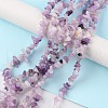 Natural Lepidolite/Purple Mica Stone Beads Strands G-G0003-B07-2