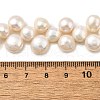 Natural Cultured Freshwater Pearl Beads Strands PEAR-I007-03F-01-5