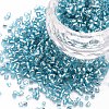 Glass Bugle Beads SEED-S032-08A-23-1