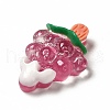 Translucent Resin Imitation Food Decoden Cabochons CRES-A052-01E-3