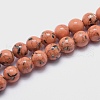 Sea Shell and Synthetic Turquoise Assembled Beads Strands G-G758-12-8mm-1