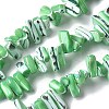 Dyed Natural Trochus Shell Beads Strands SSHEL-C013-09H-1