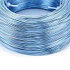 Anodized Aluminum Wire AW-S001-0.6mm-19-2