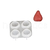 Silicone Molds SIMO-D301-01A-1