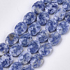 Natural Blue Spot Jasper Beads Strands G-S354-11-1