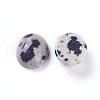 Natural Dalmatian Jasper Cabochons X-G-L511-B-02-2