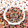 Baking Paint Glass Seed Beads SEED-N007-02E-2