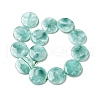 Natural Glass Beads Strands G-I247-28A-3