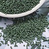 MIYUKI Delica Beads SEED-J020-DB2312-1