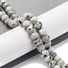 Natural Sesame Jasper Beads Strands G-K380-A08-01-2
