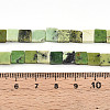 Natural Serpentine Beads Strands G-N346-05A-06-5