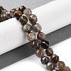 Natural Petrified Wood Beads Strands G-NH0021-A12-01-2