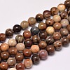 Natural Petrified Wood Round Bead Strands X-G-F266-08-8mm-1