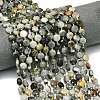 Natural Eagle Eye Stone Beads Strands G-C116-A41-02-1