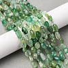 Natural Green Onyx Agate Beads Strands G-K395-A08-01-1