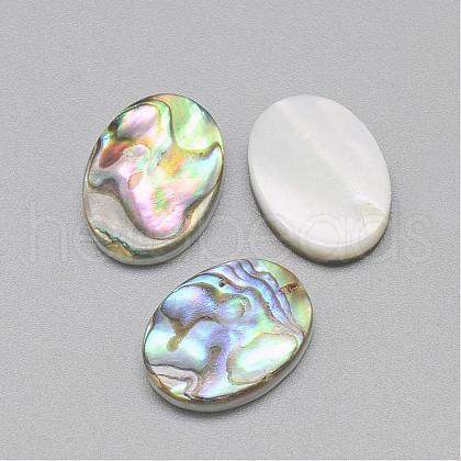 Paua Shell Cabochons SSHEL-R042-20-1