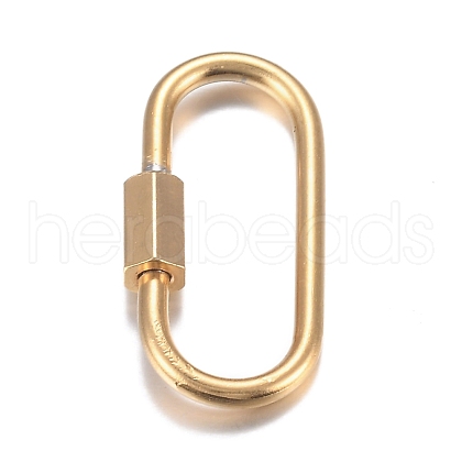 304 Stainless Steel Screw Carabiner Lock Charms STAS-H107-04A-G-1