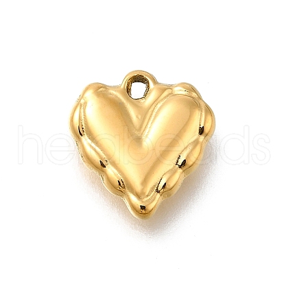 304 Stainless Steel Charms STAS-R159-40G-01-1