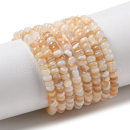 Natural Freshwater Shell Beads Strands SHEL-P017-01B-10-1