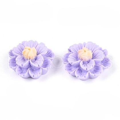 Resin Decoden Cabochons CRES-T025-04D-1