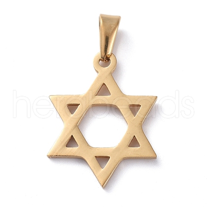 304 Stainless Steel Pendants STAS-I127-031G-B-1