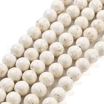 Natural Fossil Beads Strands G-H026-02A-1