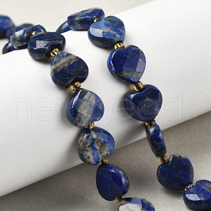 Natural Lapis Lazuli Beads Strands G-B044-B19-01-1