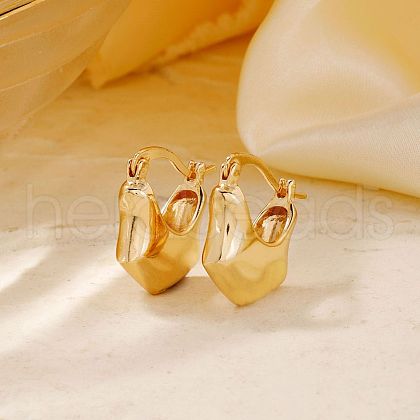 Elegant Bag Brass Hoop Earrings SK8692-1-1